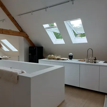 Apartment Le Grenier *